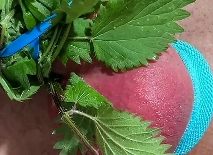 Cum with Nettles Inside Dick