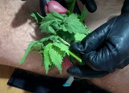 Cum with Nettles Inside Dick