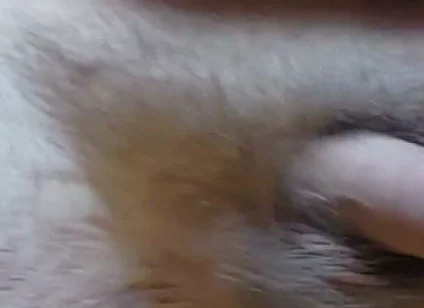 I'm Waving My Cock for You