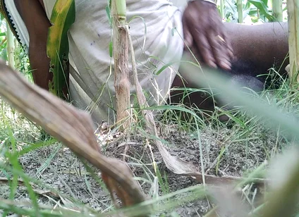 The Village Boy Went to the Cornfield and Hit Him Hard