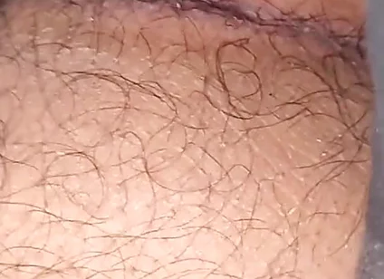 Balls and Dick Together in Mouth
