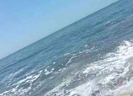 On the Beach on a Sunday