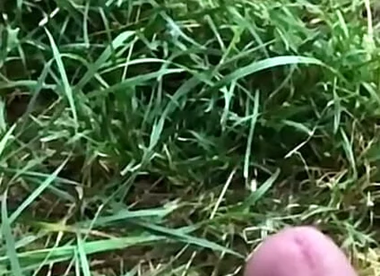 Enjoy This Slowmo. Tomorrow a Short BJ Clip Will Come:d