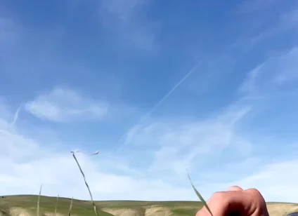 Cowboy Jacks off in a Farm Field