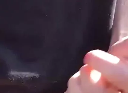 The Sunshine