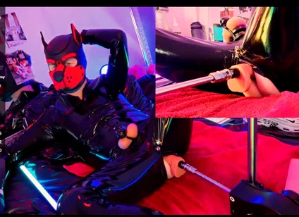 Nicolaus Rubber Show with Pet Mask
