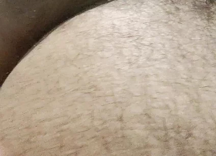 Have Breakfast with the Fat Pig