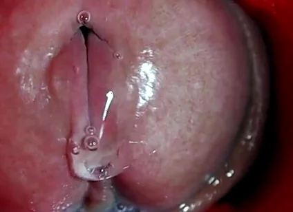 The Most Beautiful Internal Orgasm Close-up! Asmr Big Cumshot!