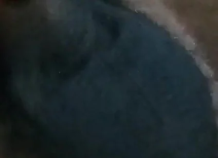 Who Wants My Dick?