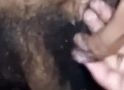 Boy Sex India