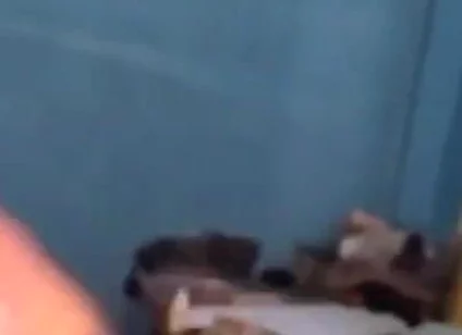 Haydenbbc Video