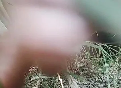 The Village Boy Went to the Cornfield and Hit Him Hard