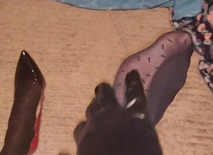 Teasing My Pattern Black Pantyhose