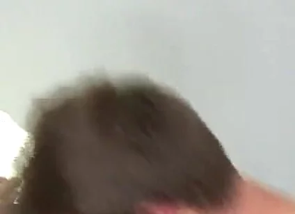 Tristan Stiles Fucks Rob Ryder