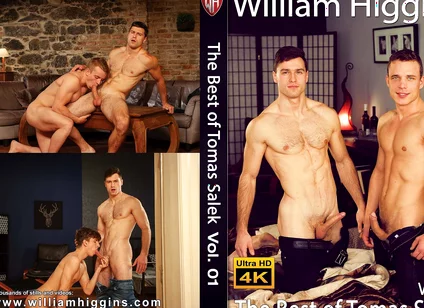 The Best of Tomas Salek Vol. 01