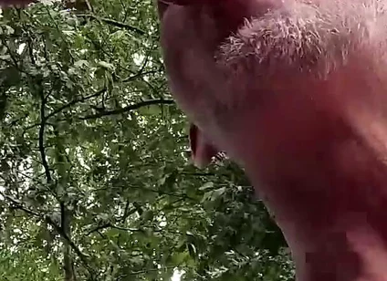 Caught in the Act