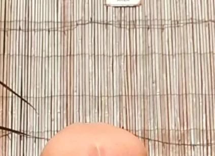 Anal Stretching