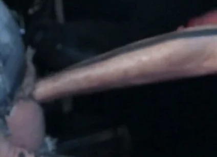 Fisting in Berlin 2