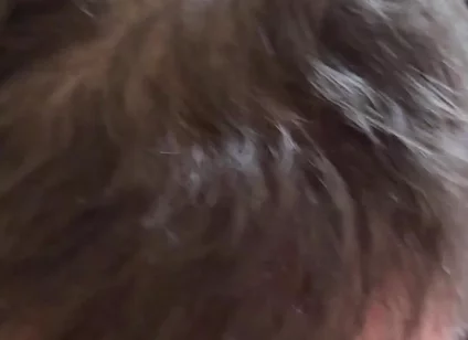 Sucking Asian Bear's Cock