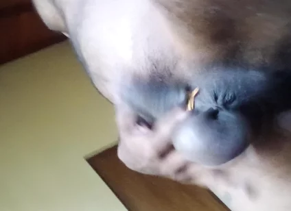 Uncut Cock an Balls Pressure Ring Swing