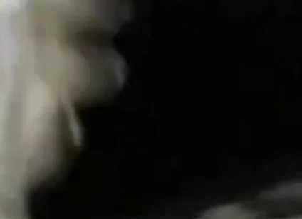 Closeup Stroking My Big Black Cock