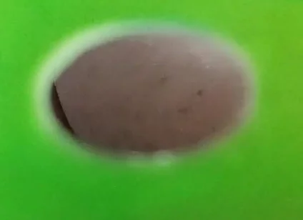 You Can See My Ass Through the Holes in the Green Screen