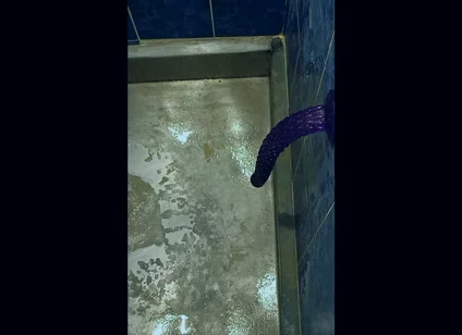 Back in the Shower, Playing with My Anus Again...