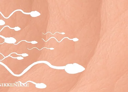 Yaoi: Spermtazoid Game: Level up in Her Stuffed Little Ass