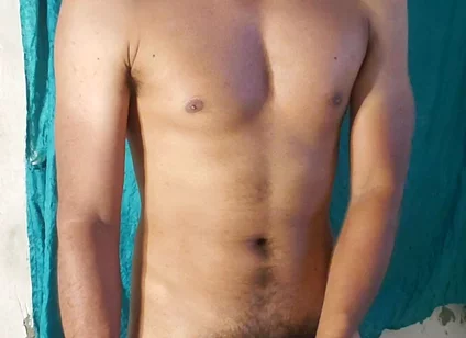 Male Stallion