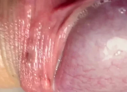 Look at My Dick While I Masturbate
