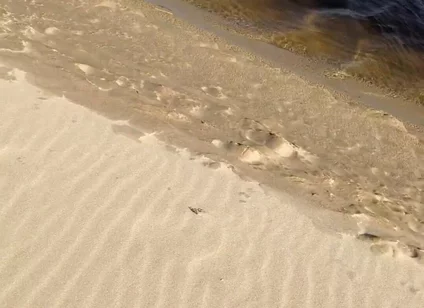 Beach Walk