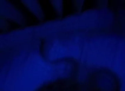 Blue Romance, Blowjob From a Sensual Blonde