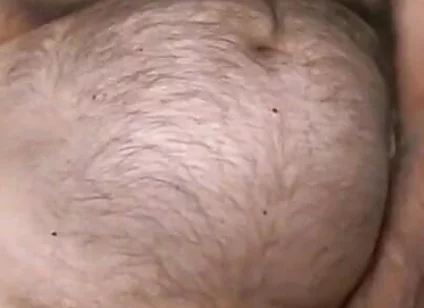 Furry Bear Coach Karl Live Cam Show