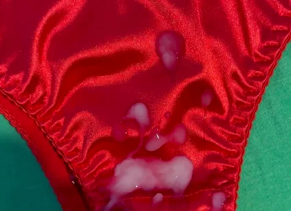 Cum on Wife’s Panties 15
