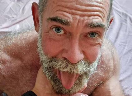 Bear Needs a Load