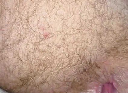 Eat My Ass and Drink My Nut