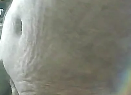 Cumshot & Jerking off