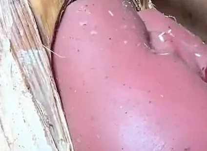 The Prisoner Find Hard Way to Sex