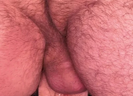 An Obedient Puppy 2 4K