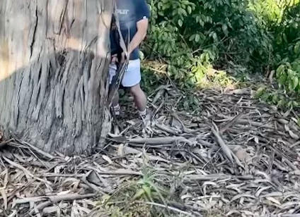 Amateur Straight Boy Caught Peeing Outdoors
