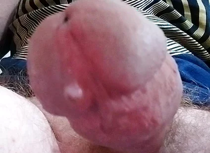 Let Cock Be Your Guide