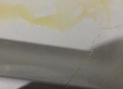 Peeing in the Bathtub