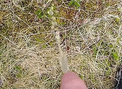 Pissing up in the Mountains