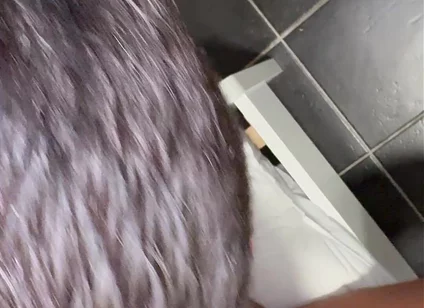 Fucked by the Black Cock