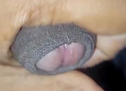 Desi Vergin Teen Gay Boy Jerking Himself