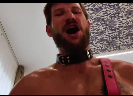 Anal Best of 2025