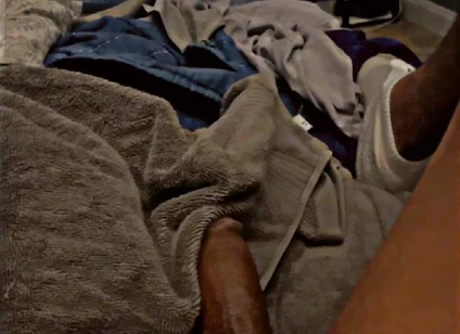 Brown Cock