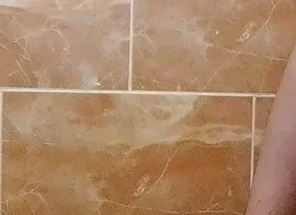 I Made a Video in the Toilet While Taking a Shower.