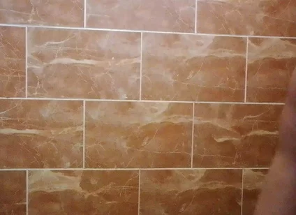 I Made a Video in the Toilet While Taking a Shower.