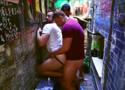 Alley Dogs